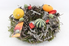Arr4 Sierfruit Mb - Mos Krans Pomp. Los 34P 16H