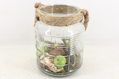 Arr4 Amaryllis Mb - Ruitglas L Touw 21P 31cm