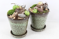 Arr4 Amaryllis Mb - Ker. Pot Luxe Op Schotel X6 17P 30cm