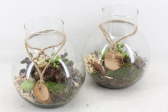 Arr4 Amaryllis Mb - Glas Bol Nek Rope 285/4 22P 31cm