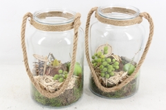 Arr4 Amaryllis Pl - Glas Vaas Touw 285/6 16P 32cm
