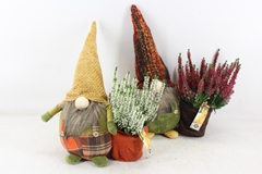 Arr4 Outdoor Js - Gnome L Calluna Mix 27P 47cm 12bloei