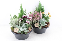 Arr4 Outdoor Pl - Kunstst. Schaal M Los 25P 42cm
