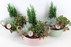 Arr4 Outdoor Pl - Zink Pink Green Print 23P 40cm