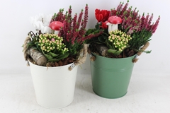 Arr4 Outdoor Mb - Zink Emmer Green/white 813/3 23P 42cm
