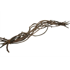 Droogdeco Crazyvine 60cm X10