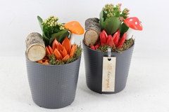 Arr2 Mb - Ker. Pot Dot Grey 236/6 14P 28cm