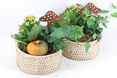 Arr2 Mb - Ker. Pot Bubble 338/6 15P 25cm