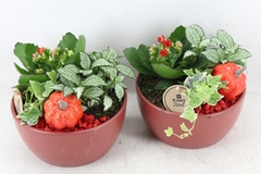 Arr2 Pl - Ker. Bolschaal Mat Red 18P 23cm