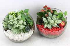 Arr2 Pl - Glas Bol Schuin - Rood/wit 17P 22cm