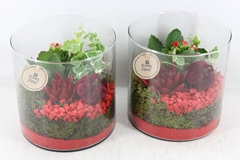 Arr2 Pl - Glas Cilinder Rood X5 19P 24cm