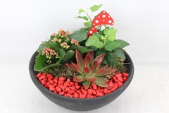 Arr2 Pl - Ebbischaal M 402/2 - Rood 23P 28cm