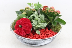 Arr2 Pl - Zink Antiek Schaal - Rood 26P 24cm