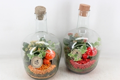 Arr2 Pl - Glazen Fles Dop - Rood/oranje 17P 39cm