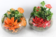 Arr2 Mb - Glas Halve Maan - Rood/oranje 20P 25cm