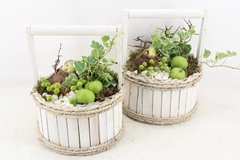 Arr4 Amaryllis Pl - Hengsk. Rond White 285/4 21P 32cm