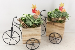 Arr2 Td - Driewieler - Wit 26P 35cm
