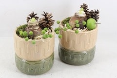 Arr4 Amaryllis Pl - Ker. Pot Groen/beige X3 14P 27cm