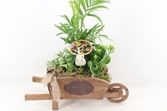 Arr2 Td - Hout Kruiwagen - Oranje/wit 35P 49cm