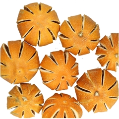 Droogvrucht Sinaasappel D4cm 250g
