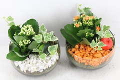 Arr2 Pl - Glas Bol Schuin Kl. 813/3 - Oranje/wit 15P 22cm
