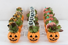 Arr3 Ad - Helloween X15 5P 17cm