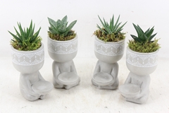 Arr3 Sn - Ker. Yoga Pose Grey 8P 25cm 99bloei
