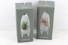 Arr3 Cp - Mini Hangbol Gift Box 9P 20H