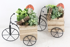Arr2 Td - Driewieler - Wit 26P 35cm