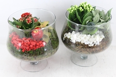 Arr2 Pl - Glas Op Voet X6 - Rood/wit 18P 27cm
