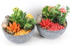 Arr2 Mb - Keramiek Bowl Stone 20P 25cm