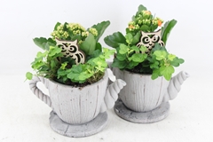 Arr2 Js - Ker. Hout Thee Pot 338/6 20P 28cm 12bloei