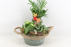 Arr2 Td - Zink Rond D.green 250/2 - Wit 25P 40cm