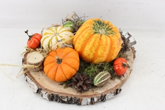 Arr4 Sierfruit Mb - Hout Schijf Xl Or 31P 21cm