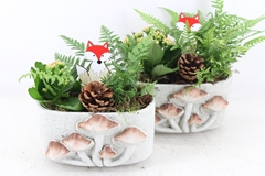 Arr2 Js - Cement Ovaal Paddenstoel X5 20P 26cm 12bloei