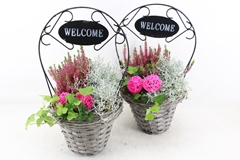 Arr4 Outdoor Js - Mand Welcome 24P 46cm 12bloei