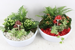 Arr2 Pl - Ker. Schaal 25cm Wit - Rood/wit 25P 30cm