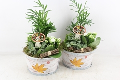 Arr2 Td - Schaal Rond Herfst - Wit 21P 43cm