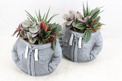 Arr3 Sn - Ker. Hoodie Grey 16P 23cm