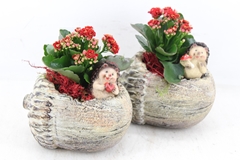 Arr2 Js - Ker. Eikel Liggend 338/6 16P 25cm 12bloei