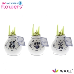 Arr4 Amaryllis Vh - Craftz Delfts Blauw