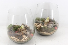 Arr4 Amaryllis Mb - Glas Roma 285/5 Red 19P 28cm