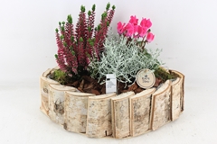 Arr4 Outdoor Pl - Hout Kano L 41P 37cm