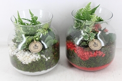 Arr2 Pl - Glas Candy X2 - Rood/wit 21P 29cm