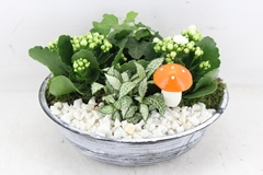 Arr2 Pl - Zink Antiek Schaal - Wit 27P 24cm