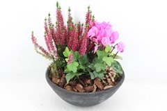 Arr4 Outdoor Pl - Ebbischaal M X2 24P 35cm