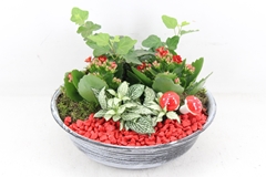 Arr2 Pl - Zink Antiek Schaal - Rood 27P 24cm