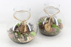 Arr4 Amaryllis Mb - Glas Bol Nek Rope 285/4 23P 30cm