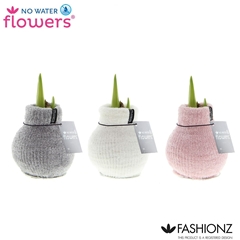 Arr4 Amaryllis Vh - Fashionz Cozy Fluffy
