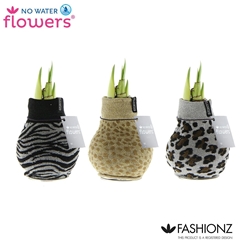 Arr4 Amaryllis Vh - Fashionz Animal Print